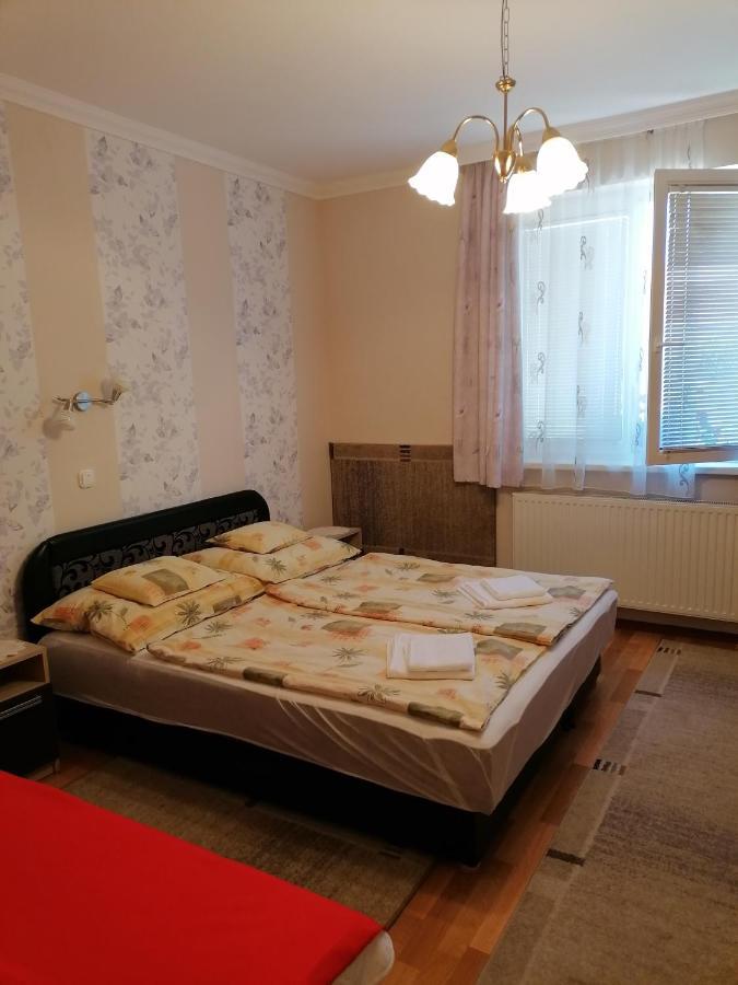 Kaktuszvirag Apartmanhaz Хайдусобосло Экстерьер фото